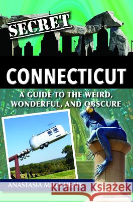 Secret Connecticut: A Guide to the Weird, Wonderful, and Obscure Stasha Mill 9781681063058 Reedy Press