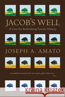 Jacob's Well: A Case for Rethinking Family History Joseph a. Amato 9781681341071 Minnesota Historical Society Press