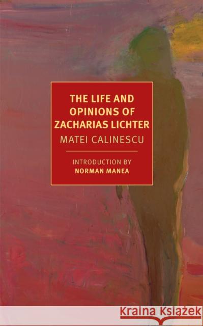 The Life And Opinions Of Zacharias Lichter Matei Calinescu 9781681371955 New York Review of Books