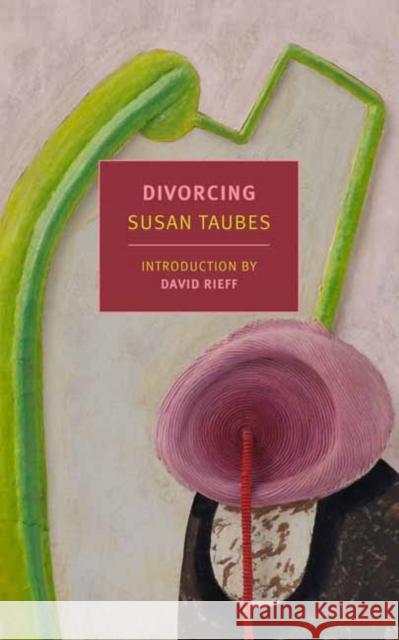 Divorcing Susan Taubes David Rieff 9781681374949