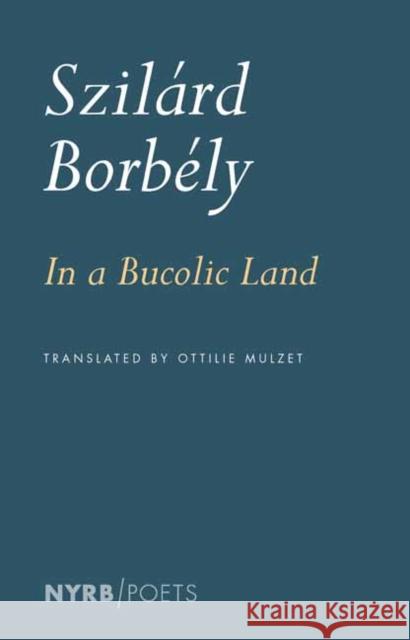 In a Bucolic Land Borb Ottilie Mulzet 9781681375915