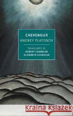 Chevengur Andrey Platonov Robert Chandler Elizabeth Chandler 9781681377681 New York Review of Books