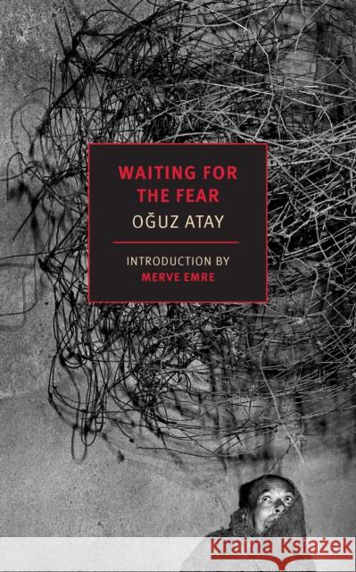 Waiting for the Fear Oguz Atay Ralph Hubbell Merve Emre 9781681377964 New York Review of Books