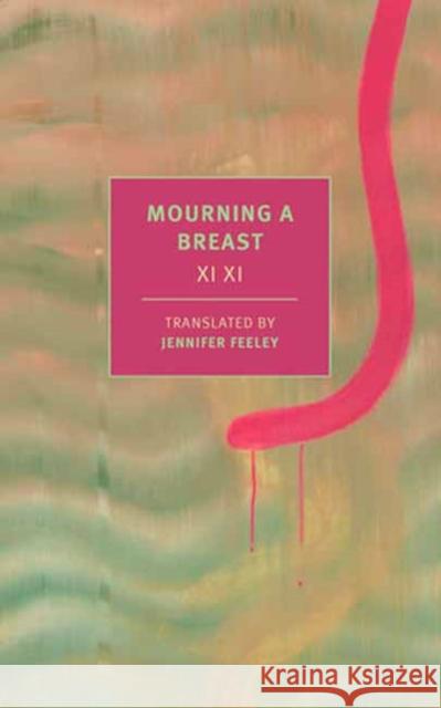 Mourning a Breast XI XI Jennifer Feeley 9781681378220 The New York Review of Books, Inc