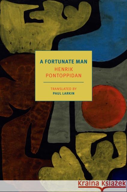 A Fortunate Man Henrik Pontoppidan Paul Larkin 9781681379272