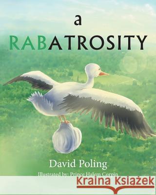 A Rabatrosity David Poling 9781681399522