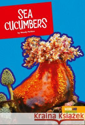 Sea Cucumbers Wendy Perkins 9781681511603 Amicus High Interest