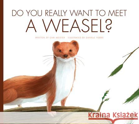 Do You Really Want to Meet a Weasel? Carl Meister 9781681513935 Amicus