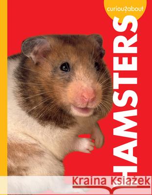 Curious about Hamsters M. K. Osborne 9781681519678 Amicus