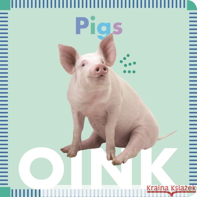 Pigs Oink Rebecca Stromstad Glaser 9781681521282 Amicus Ink