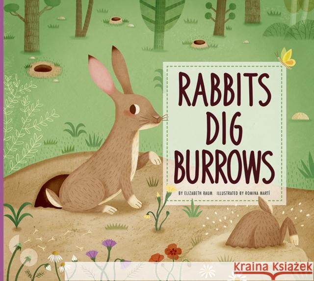 Rabbits Dig Burrows: Animal Builders Elizabeth Raum 9781681521541 Amicus Ink