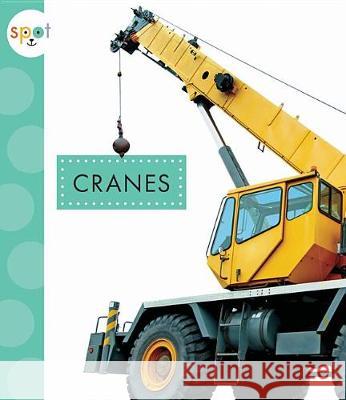 Cranes Mari Schuh 9781681522111 Amicus Ink