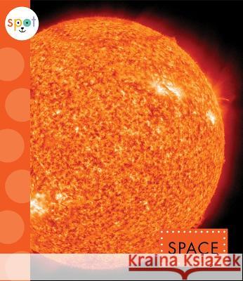 Space K. C. Kelley 9781681522494 Amicus Ink