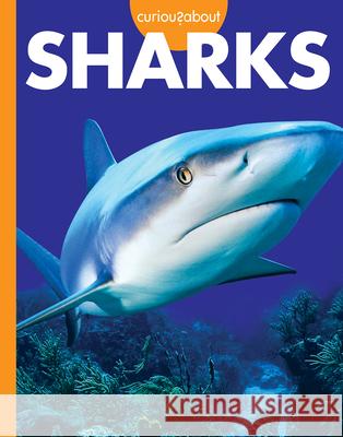 Curious about Sharks Amy S. Hansen 9781681527031 Amicus Ink