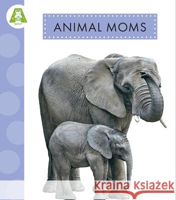 Animal Moms Golriz Golkar 9781681527758 Amicus Ink