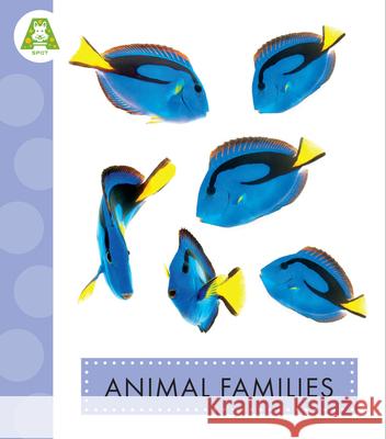 Animal Families Anastasia Suen 9781681527772