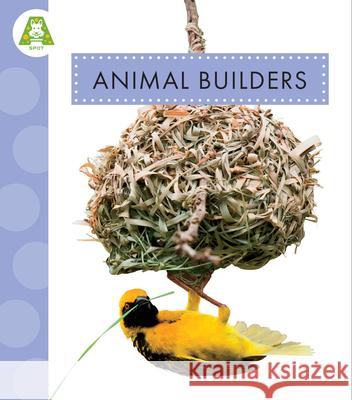 Animal Builders Golriz Golkar 9781681527796 Amicus Ink