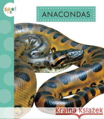 Anacondas Alissa Thielges 9781681527826 Amicus Ink