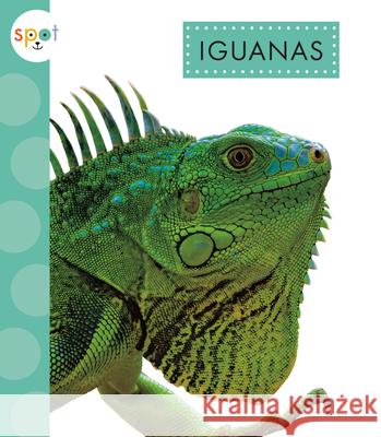 Iguanas Alissa Thielges 9781681527840 Amicus Ink