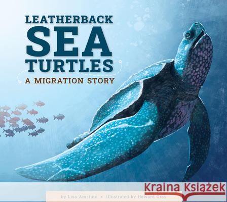 Leatherback Sea Turtles: A Migration Story Lisa Amstutz Howard Gray 9781681528090 Amicus Ink