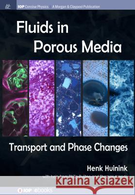 Fluids in Porous Media Henk Huinink 9781681742960 Iop Concise Physics