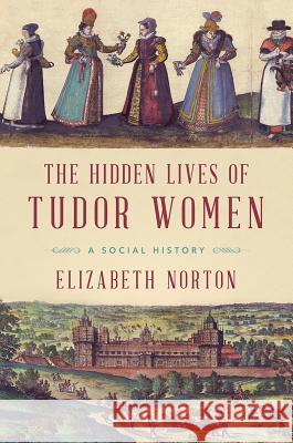 The Hidden Lives of Tudor Women: A Social History Elizabeth Norton 9781681778044 Pegasus Books