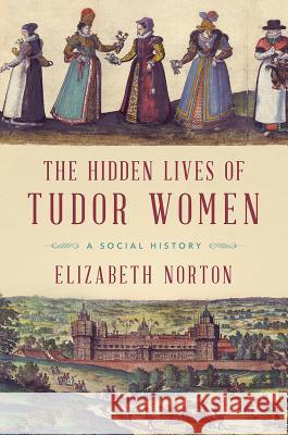 The Hidden Lives of Tudor Women: A Social History Elizabeth Norton 9781681778044