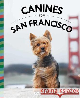 Canines of San Francisco Mark Rogers 9781681884721 Bluestreak