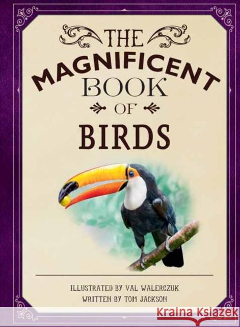 The Magnificent Book of Birds Weldon Owen 9781681887685