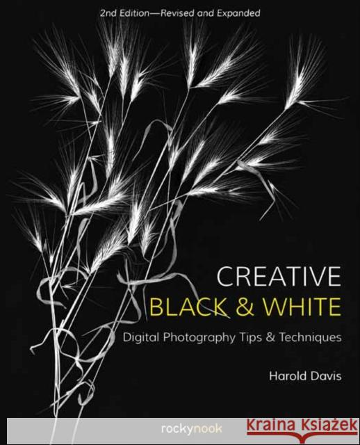 Creative Black and White Harold Davis 9781681984964 Rocky Nook