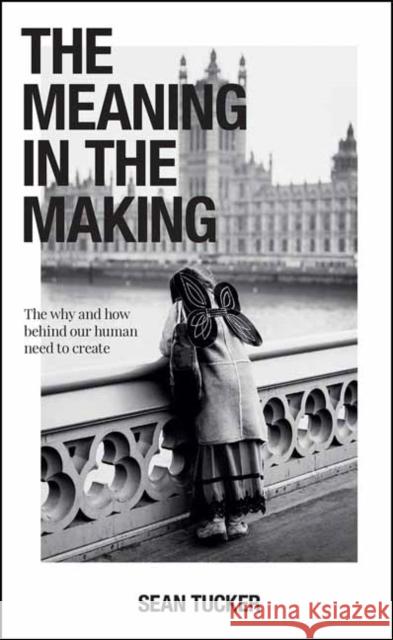 The Meaning in the Making: The How and Why Behind Our Human Need to Create Sean Tucker 9781681987231 Rocky Nook