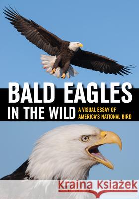 Bald Eagles in the Wild: A Visual Essay of America's National Bird Rich, Jeffrey 9781682033289 Amherst Media