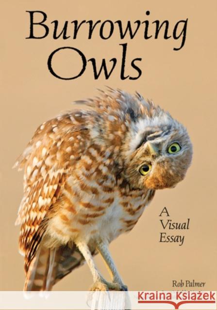 Burrowing Owls: A Visual Essay Rob Palmer 9781682034040 Amherst Media