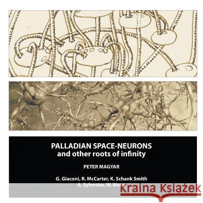 Palladian Space-Neurons and other Roots of Infinity Magyar, Peter 9781682569016 Litfire Publishing, LLC