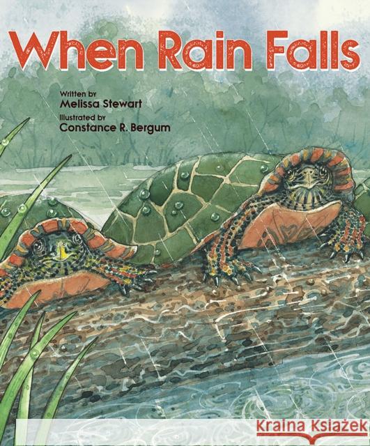 When Rain Falls Melissa Stewart Constance R. Bergum 9781682631003 Peachtree Publishers