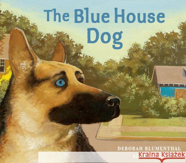 The Blue House Dog Deborah Blumenthal Adam Gustavson 9781682635902