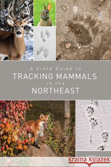 A Field Guide to Tracking Mammals in the Northeast Linda J. Spielman 9781682680643 Countryman Press