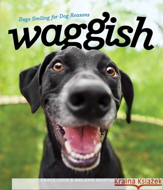 Waggish: Dogs Smiling for Dog Reasons Grace Chon Melanie Monteiro 9781682680988 Countryman Press