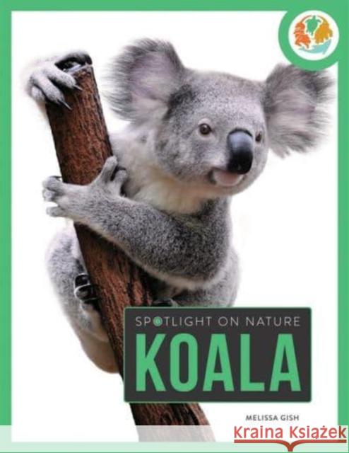 Spotlight on Nature: Koala Melissa Gah 9781682770344