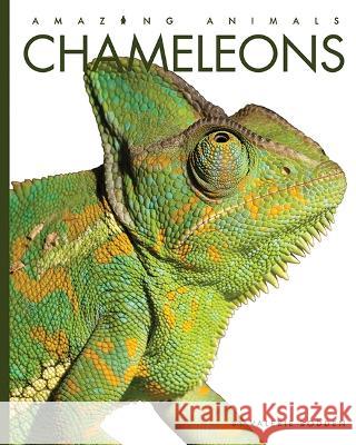 Chameleons Valerie Bodden 9781682770603