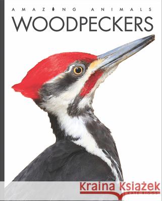 Woodpeckers Kate Riggs 9781682770702