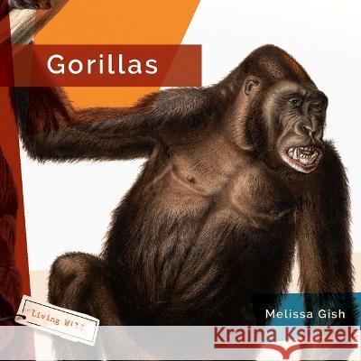 Gorillas Melissa Gish 9781682770788 Creative Paperbacks