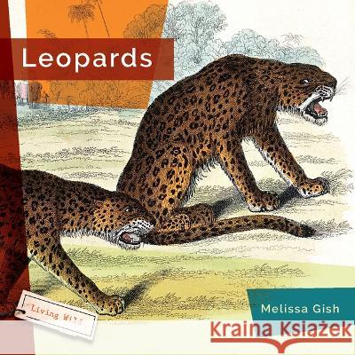 Leopards Melissa Gish 9781682770818 Creative Paperbacks