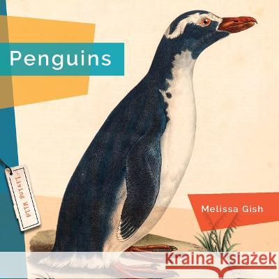 Penguins Rachael Hanel 9781682770856 Creative Paperbacks