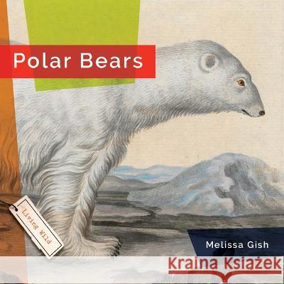 Polar Bears Rachael Hanel 9781682770863 Creative Paperbacks