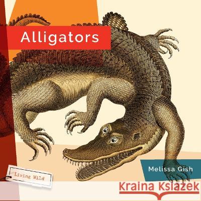 Alligators Melissa Gish 9781682771488 Creative Paperbacks