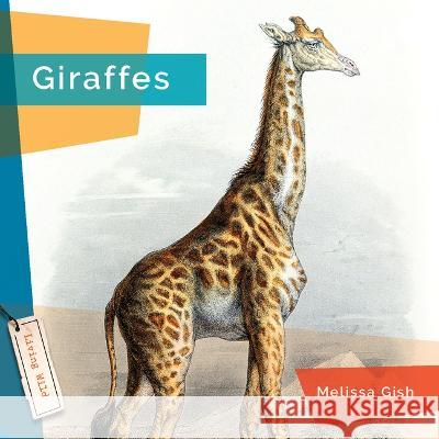 Giraffes Nicole Helget 9781682771549