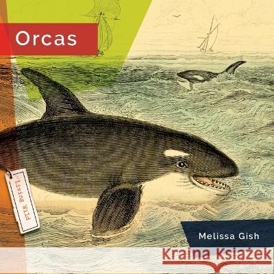 Orcas Melissa Gish 9781682771570 Creative Paperbacks