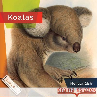 Koalas Rachael Hanel 9781682771587 Creative Paperbacks