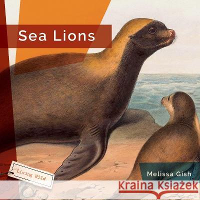 Sea Lions Melissa Gish 9781682771648